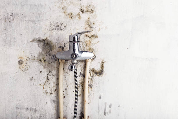 Mold Testing and Removal in Omak, WA