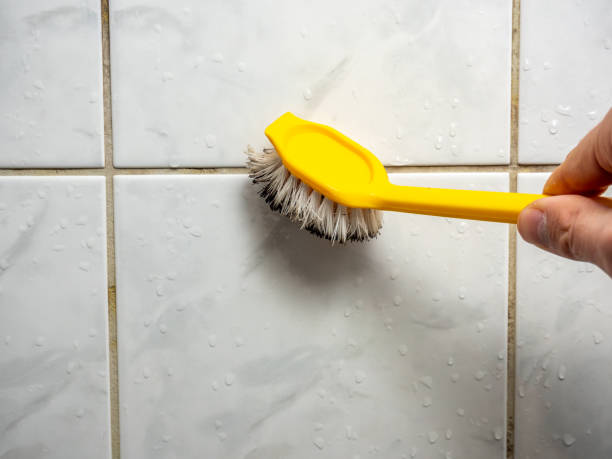 Trusted Omak, WA Mold Removal Experts