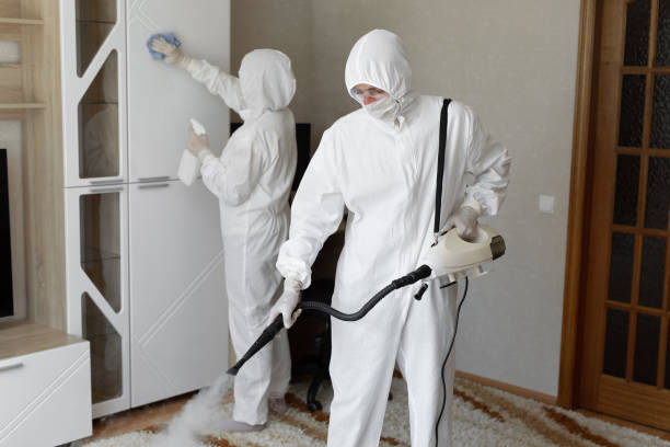 Best Mold Testing and Removal  in Omak, WA
