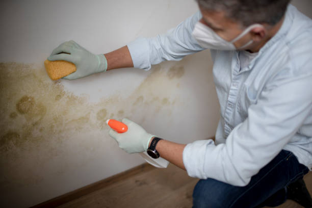 Best Water Damage Restoration  in Omak, WA