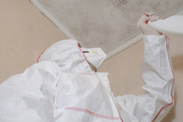 Best Commercial Mold Removal  in Omak, WA