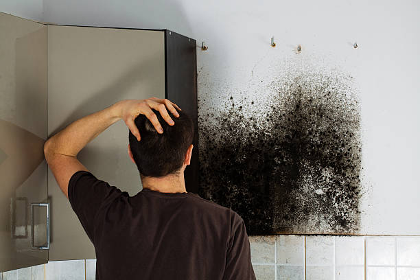 Best Office Mold Removal Services  in Omak, WA