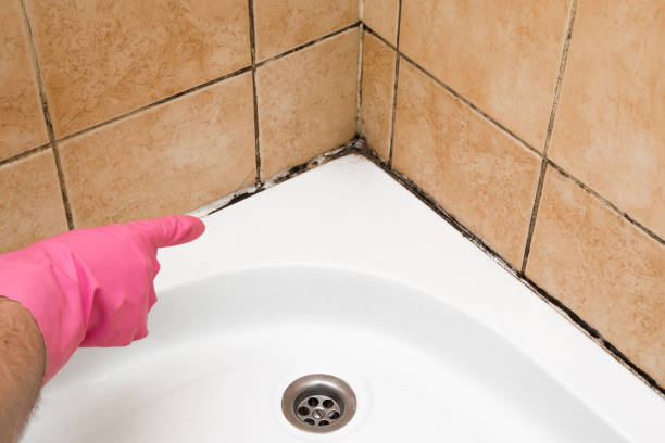 Best Mold Testing  in Omak, WA
